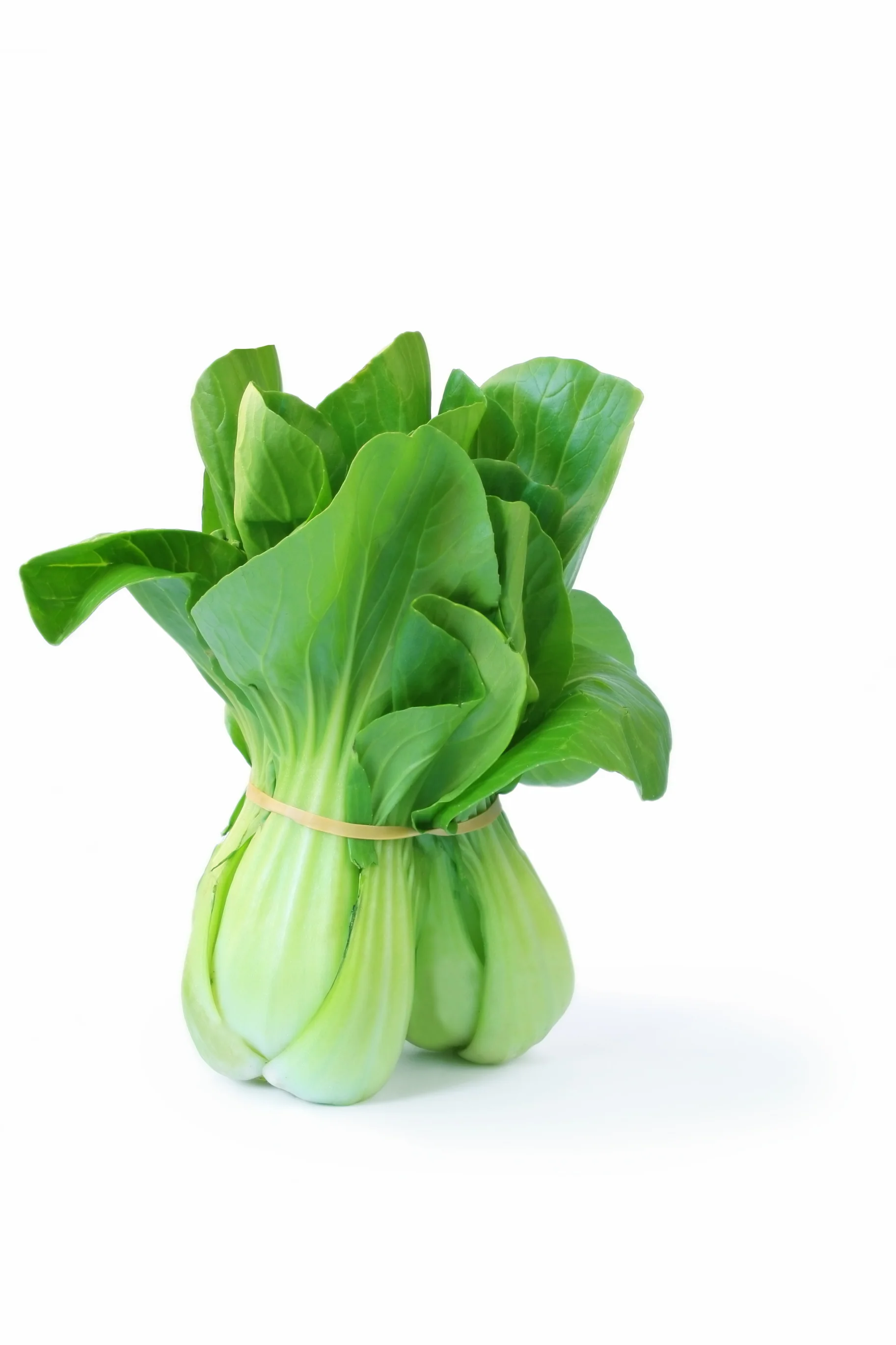 BABY BOK CHOY (1 BUNCH)