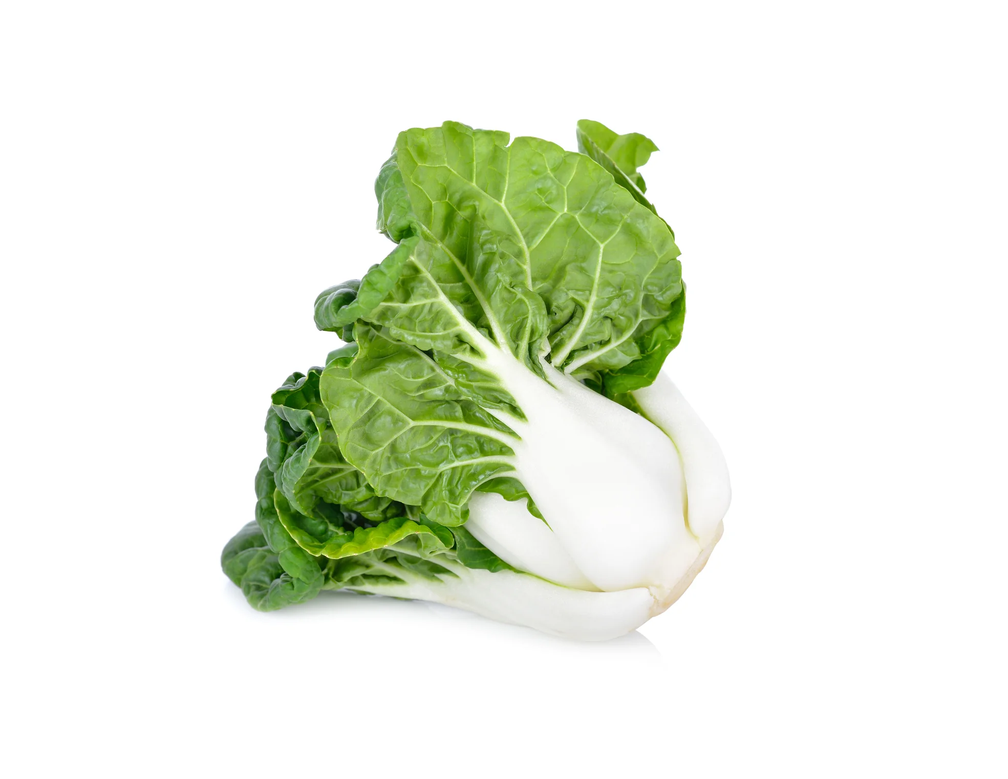 BABY BUK CHOY (1 BUNCH)
