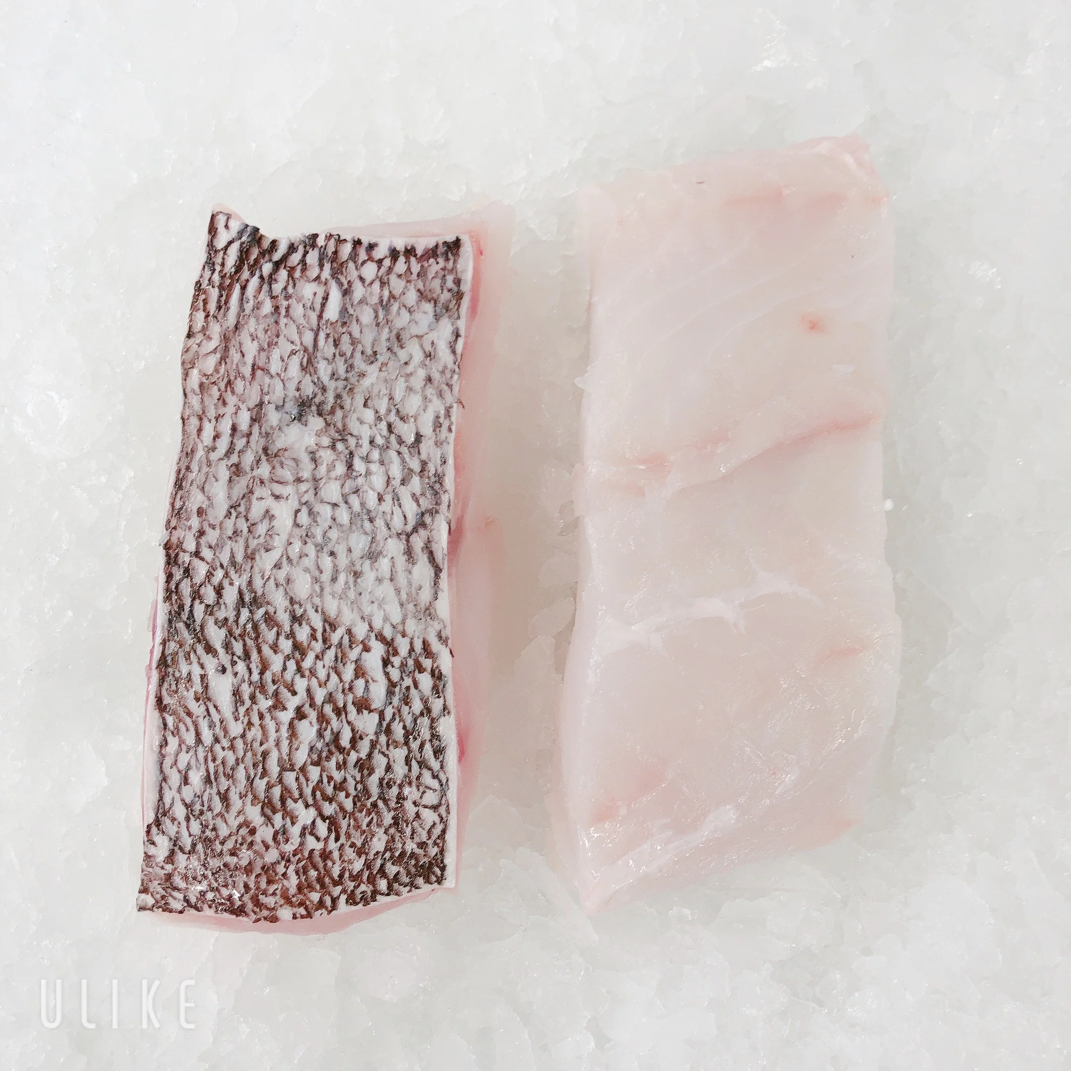 BASS GROPER PORTIONS (MIN 500G)