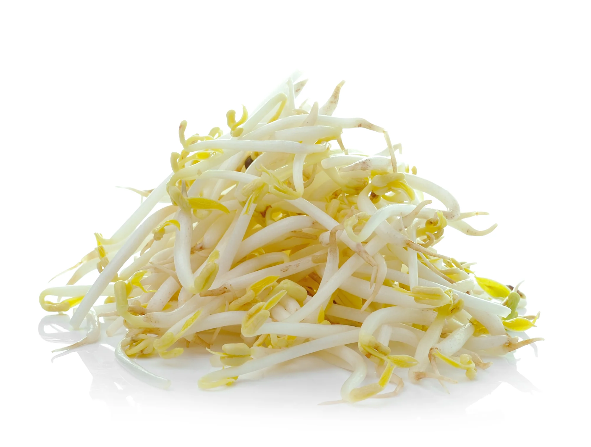 BEANS SPROUT (300G)
