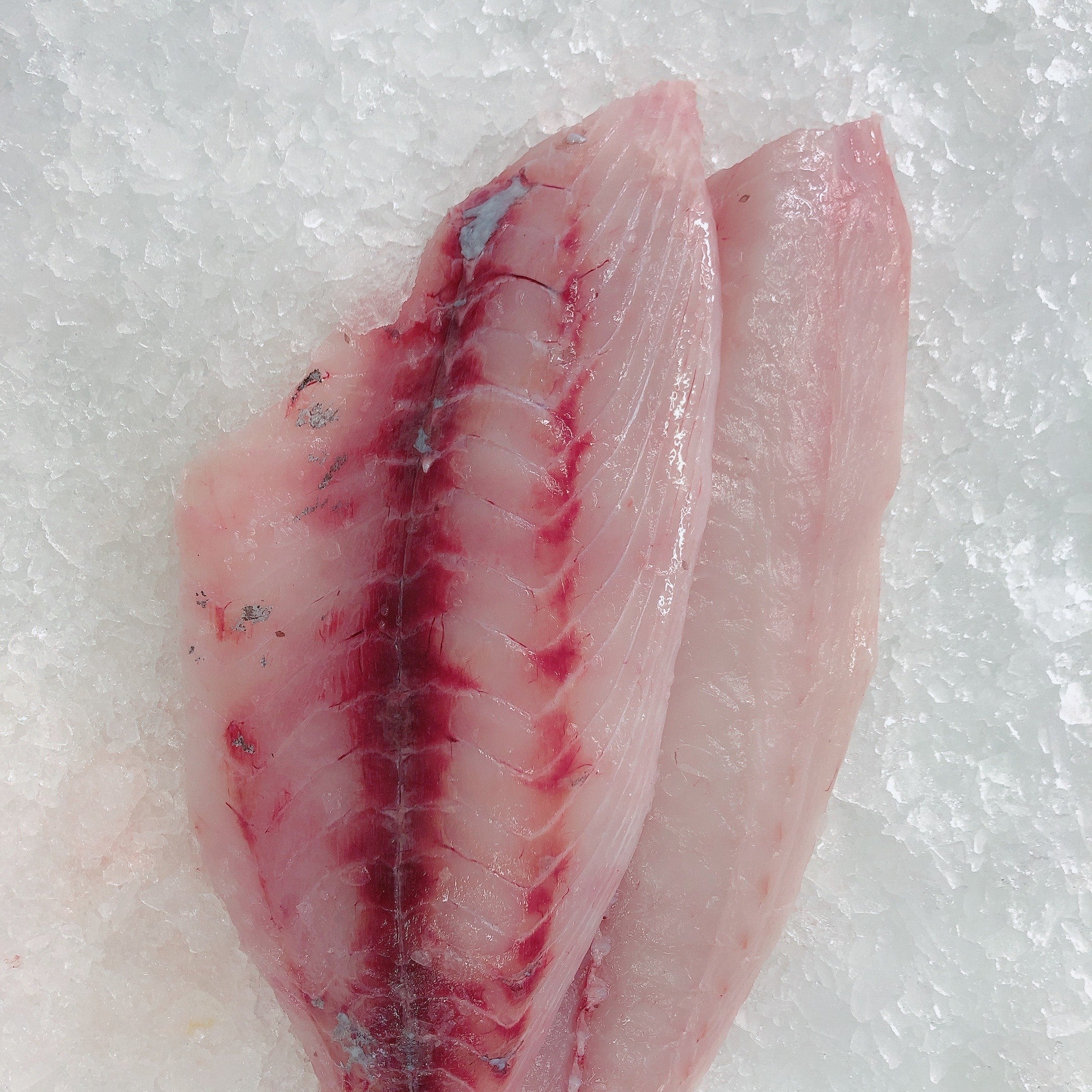 BLUE EYE COD FILLETS (MIN 500G)