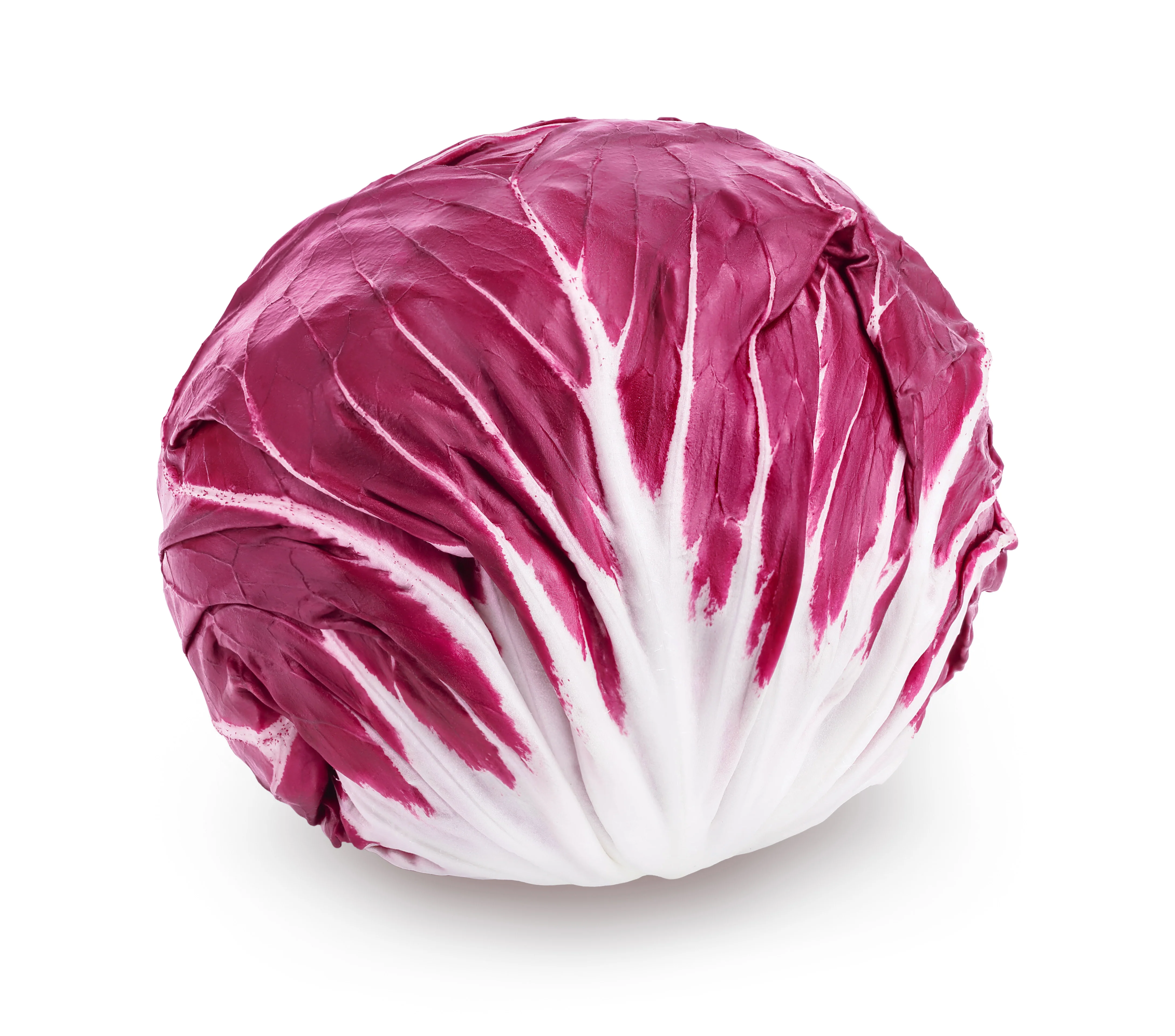 FARM FRESH RADICCHIO (1 EACH)