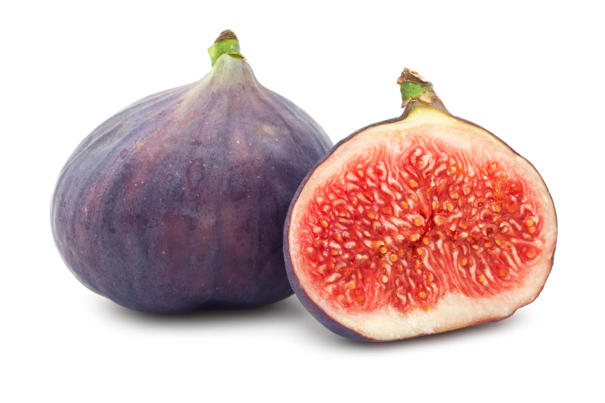 FIGS (1 EACH)