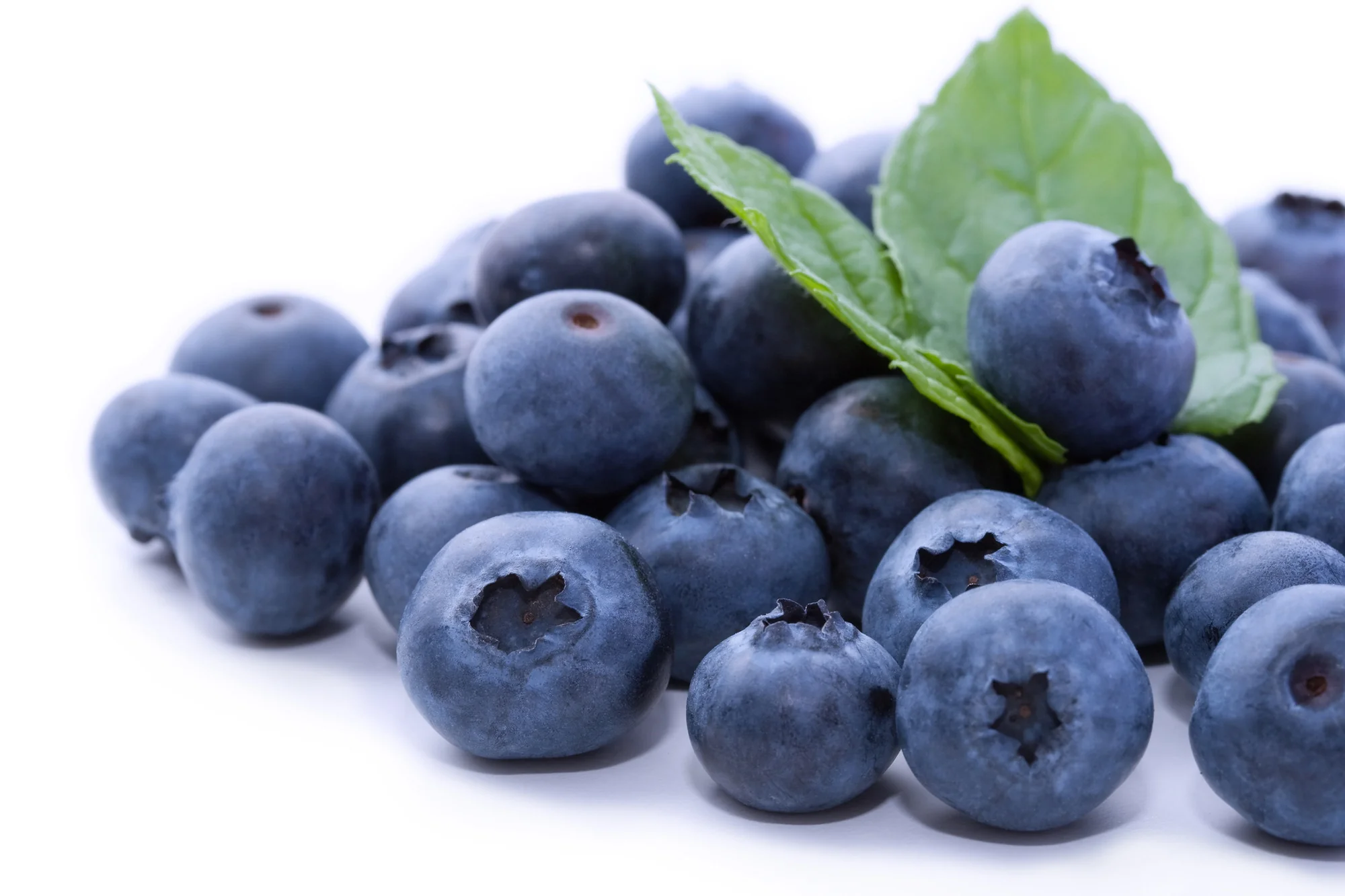BLUEBERRIES PREMIUM (1 PUNNET)