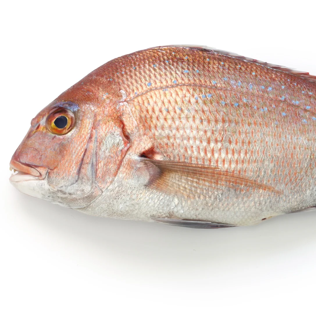 MEDIUM SNAPPER 900G - 1KG (1 FISH)