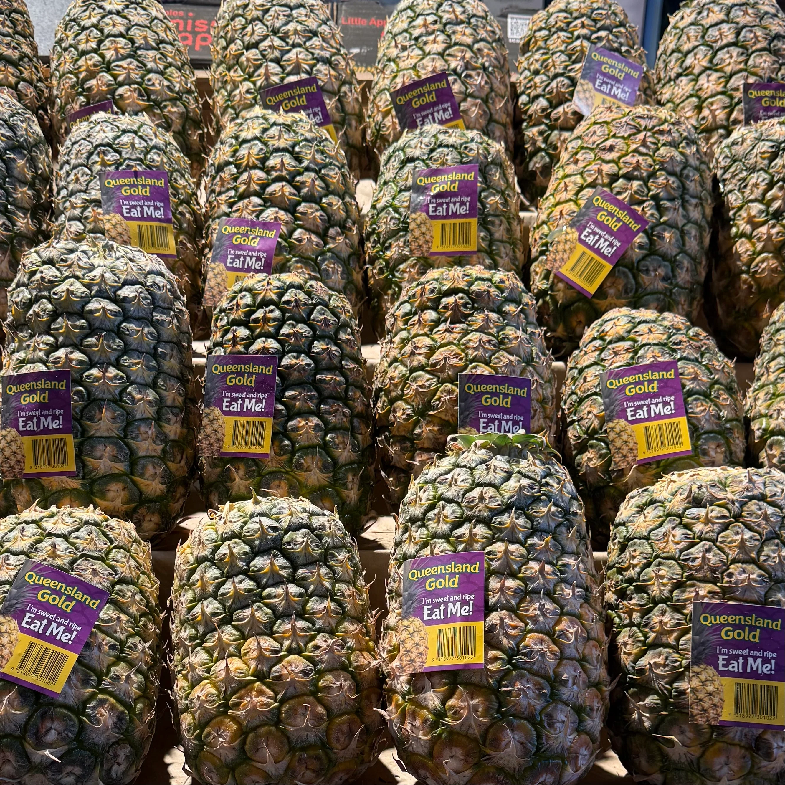 PINEAPPLE LARGE EAT ME (1 EACH)