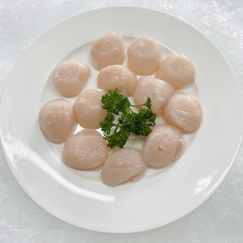 SCALLOP SASHIMI SLICED (1 EACH)