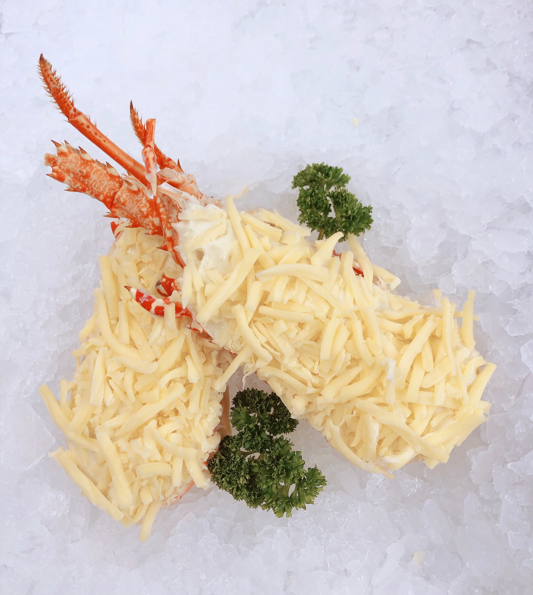 W.A. WHOLE LOBSTER MORNAY 400G - 450G